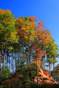 格拉纳达遭遇滑铁卢，惨遭对手绝杀不敌