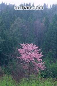 纽卡客场不敌狼队，遭遇连败